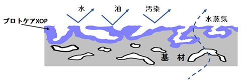 XOP断面図